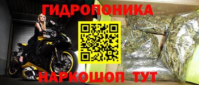 сатива Нальчик